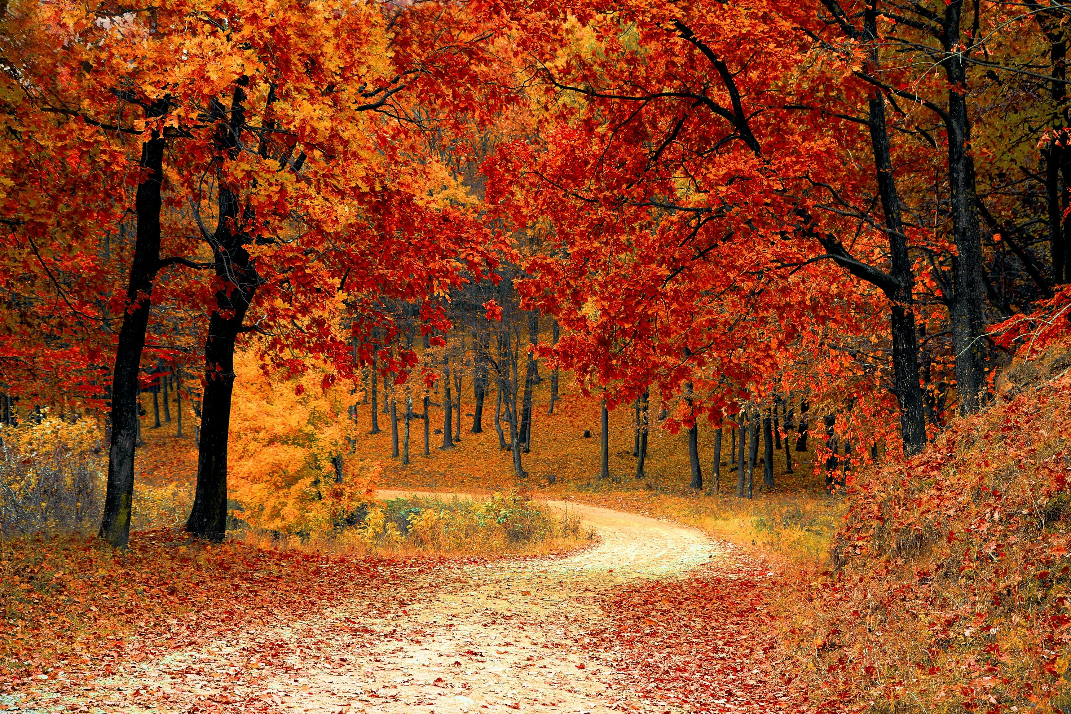 Comment Créer des Tenues Polyvalentes pour la Saison Automne-Hiver