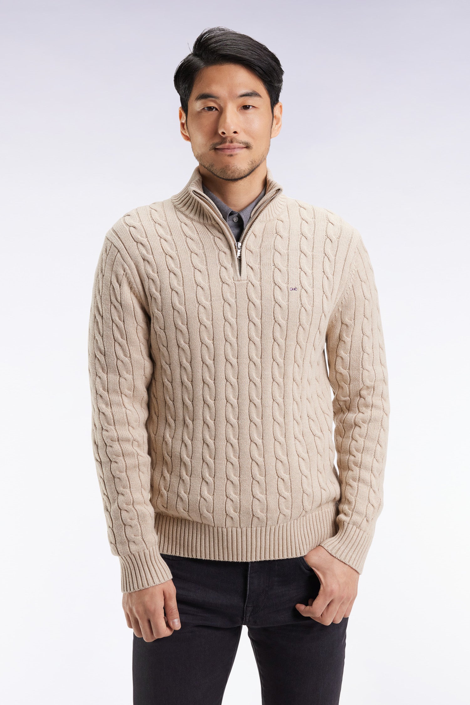 Pull col camionneur en coton torsadé beige EDEN PARK