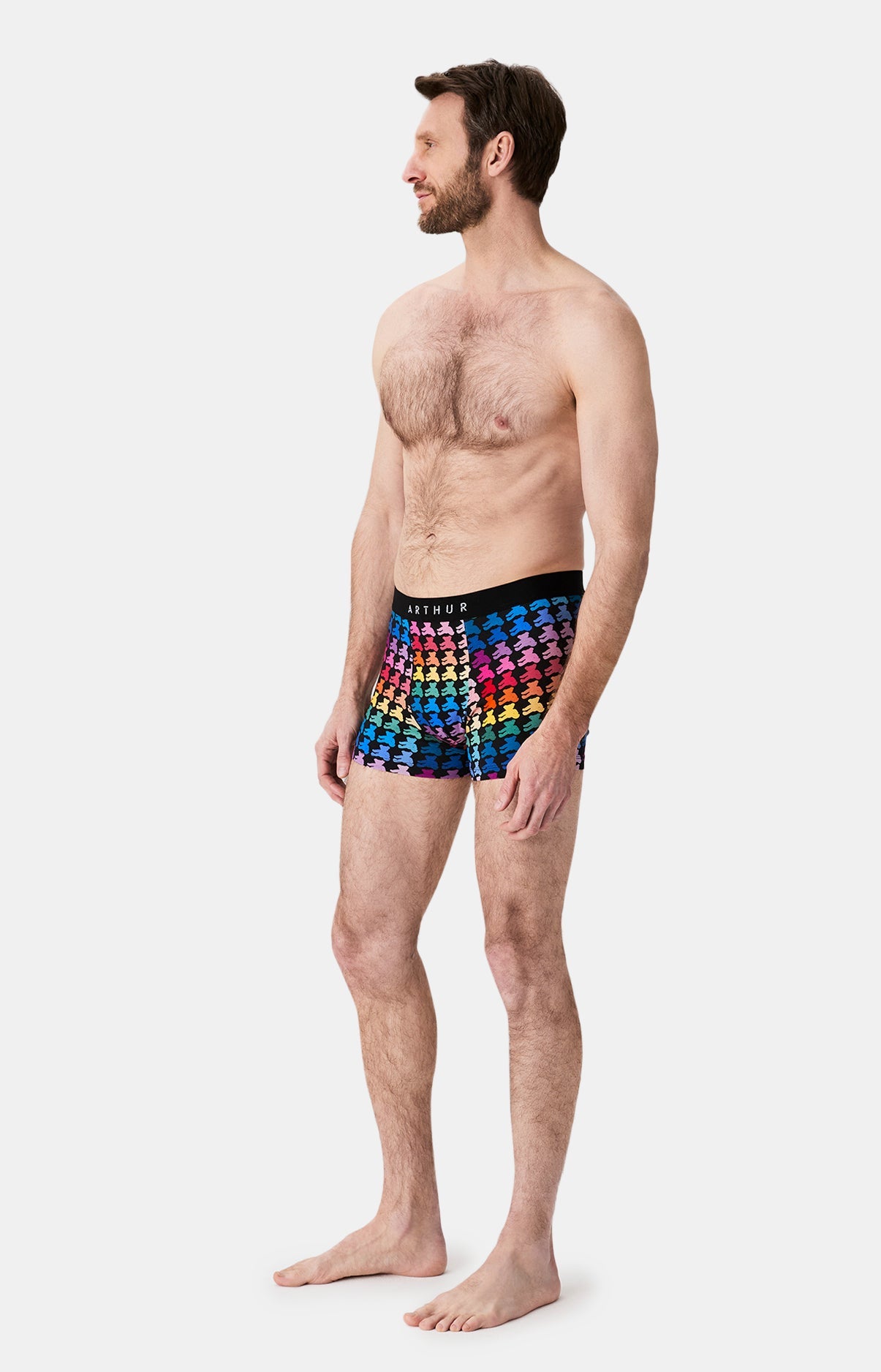 Boxer Teddy Bear ARTHUR