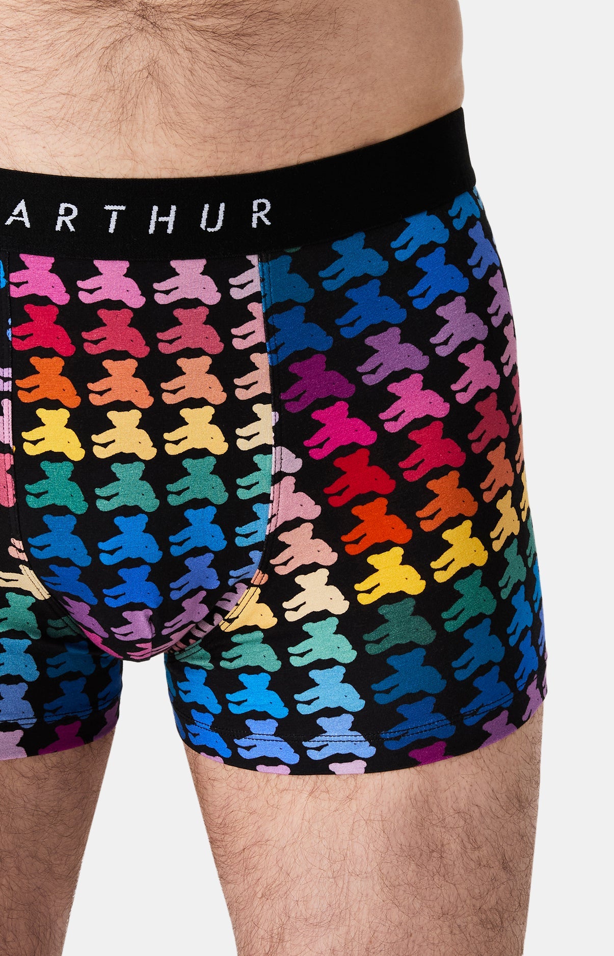 Boxer Teddy Bear ARTHUR