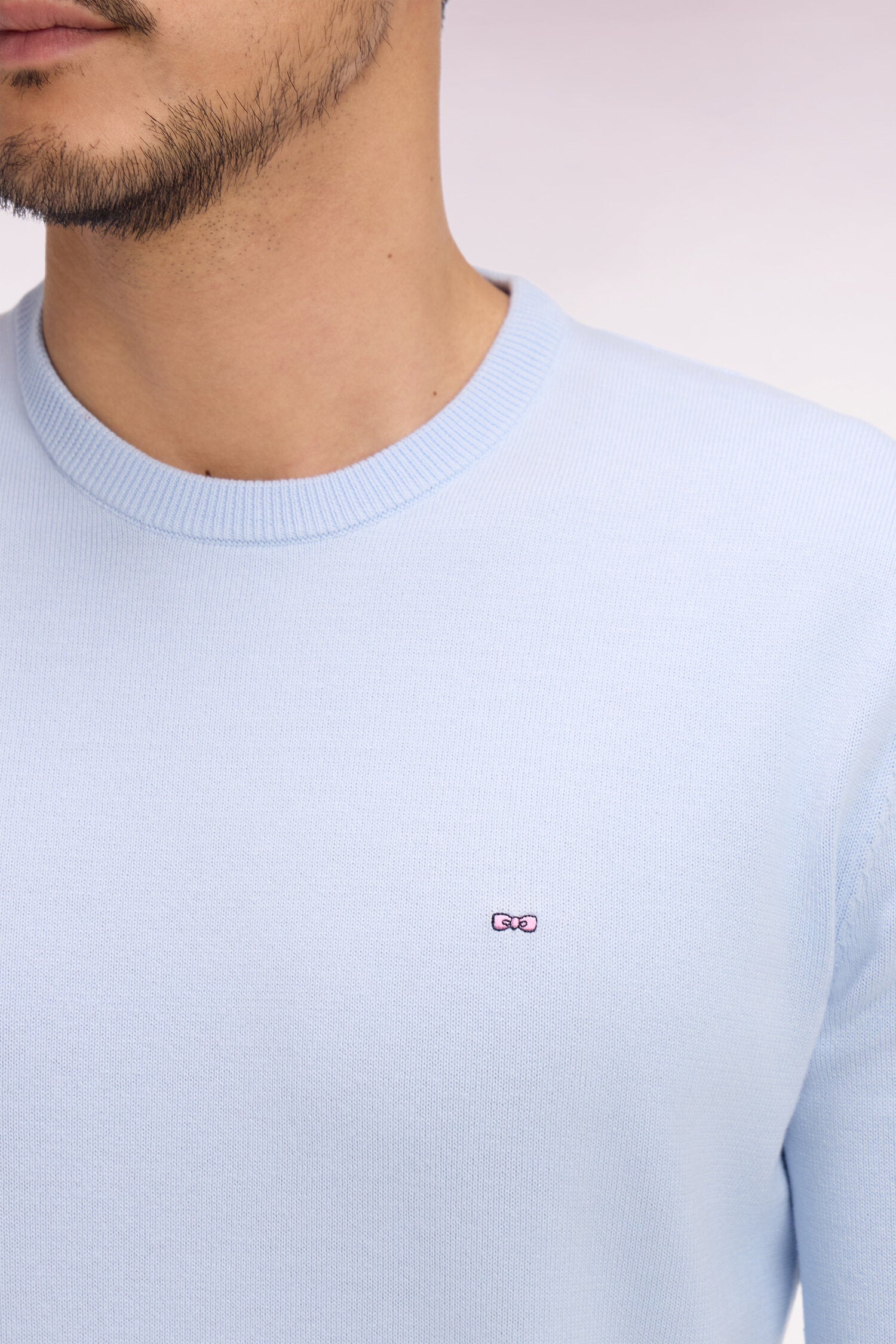 Pull col rond en coton ciel EDEN PARK