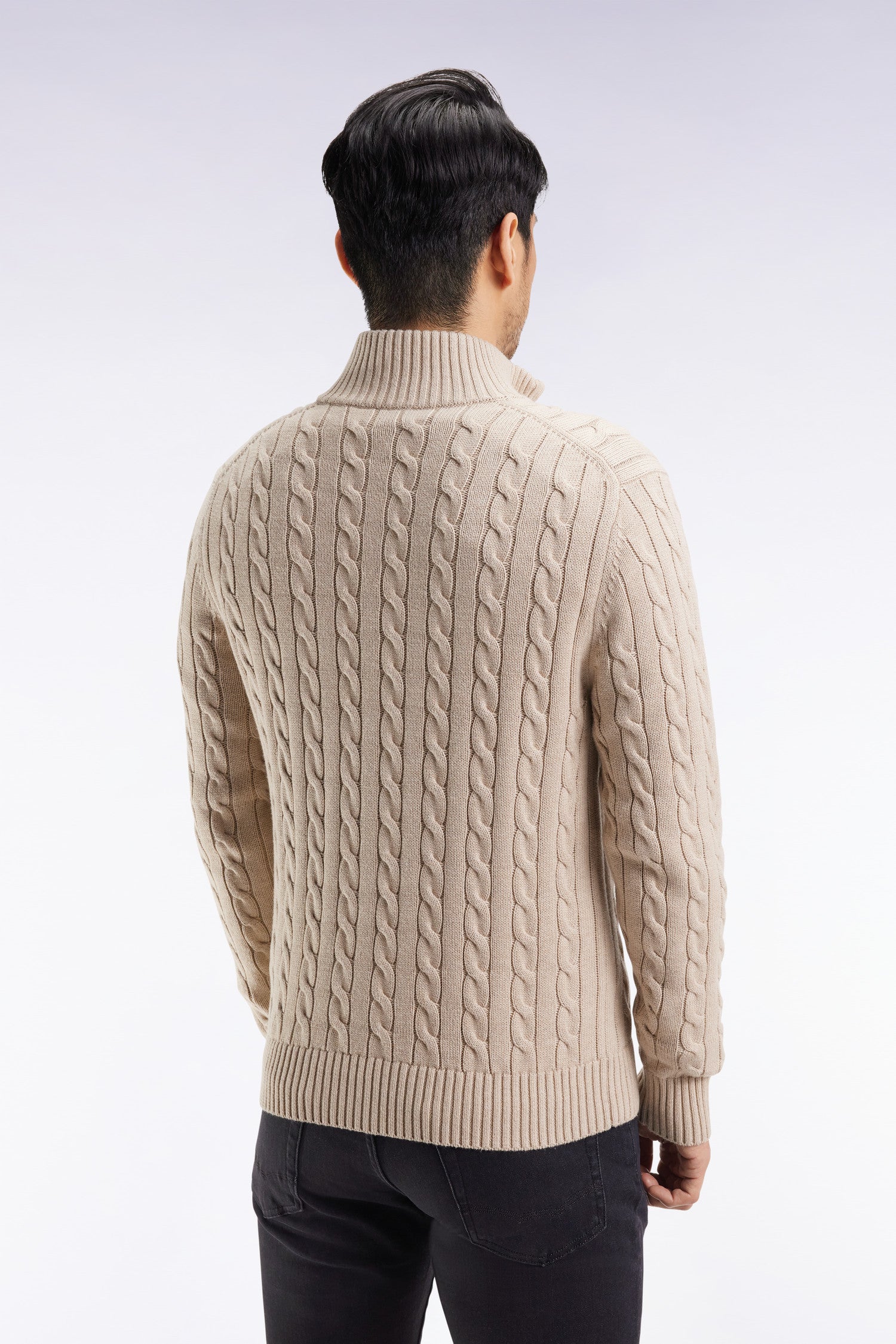 Pull col camionneur en coton torsadé beige EDEN PARK